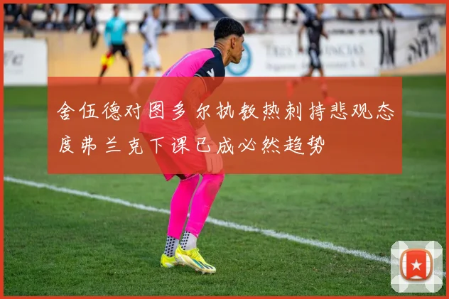 舍伍德对图多尔执教热刺持悲观态度弗兰克下课已成必然趋势