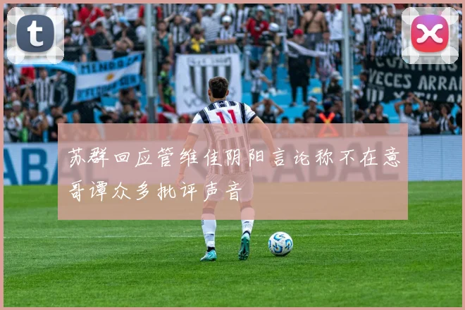 苏群回应管维佳阴阳言论称不在意哥谭众多批评声音