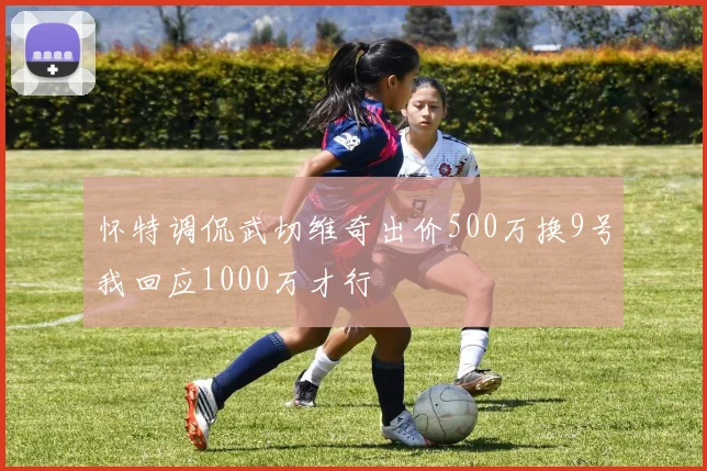 怀特调侃武切维奇出价500万换9号我回应1000万才行