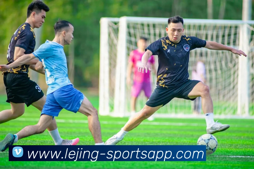 多媒体互动体验